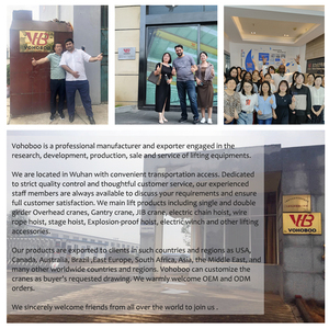 Polipasto Eléctrico de Cadena de 250 kg, 500 kg, 1 Tonelada, Estilo Europeo, Tipo Carro Fijo, Fácil Mantenimiento, Estándar Europeo, para Taller - Product Image 5