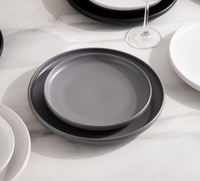 Ensemble d'assiettes en porcelaine mate écologiques en gros |   Assiettes à dîner de 10,5 pouces avec logo personnalisé, plusieurs couleurs pour restaurants et hôtels