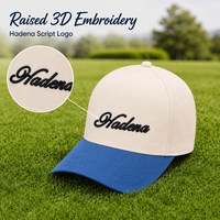 Casquette de baseball classique structurée à 5 panneaux, bicolore, brodée, à visière incurvée, de haute qualité, avec logo personnalisé, pour le sport