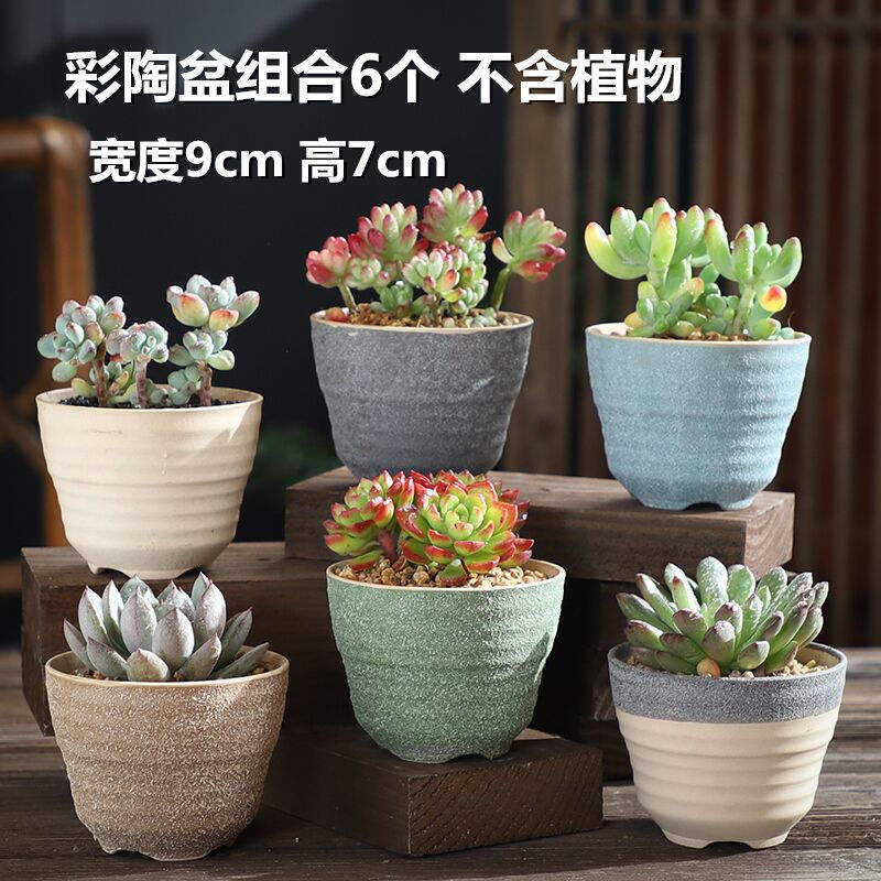 Ensemble de 6 pots de poterie colorés