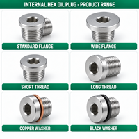 Bouchon de vidange hexagonal interne sur mesure à filetage mâle flangé pour tuyau de boîte de vitesses hydraulique, OEM personnalisé