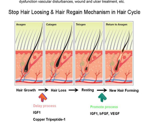 Scalp Care <b>Machine</b> for Hair Clinic Spa Salon 5in1 Anti Hair Loss Scalp Analysis Treatment Hair Growth Therapy <b>Machine</b> <b>Massage</b> - Product Image 3