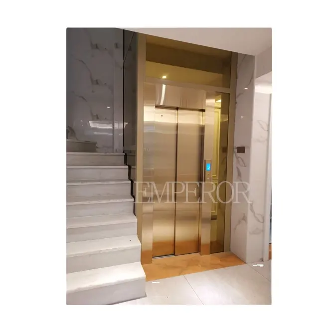 High quality and low price VVVF driving home passenger elevator elevator