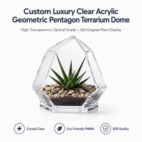 Terrarium en acrylique transparent sur mesure, forme géométrique pentagonale, dôme pour plantes succulentes, maison en verre décorative pour bureau