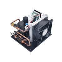 Mini 24v unité de condensation congélateur liquide bière refroidisseur Mini système de refroidissement FSCD019Z24