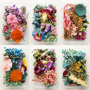 Kit de décoration de fleurs séchées colorées DIY - Product Image 1