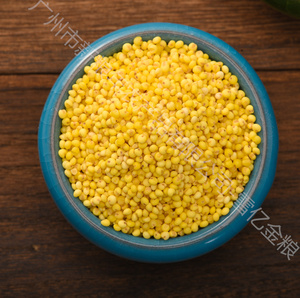 <span class=keywords><strong>Millet</strong></span> Glutineux Premium Dahuang – Riz Traditionnel Chinois à Grains Entiers – <span class=keywords><strong>Millet</strong></span> Riche en Nutriments pour Porridge et Pâtisserie – Vente en Gros - Product Image 3