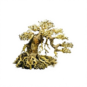 Nuevos Accesorios de Madera Flotante para Acuarios Bonsai, para Peces, Camarones y Caracoles, Decoración de Acuario Duradera y Ecológica, Hecha en Vietnam, Venta al por Mayor - Product Image 1