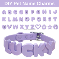 Collier pour chien personnalisé à faire soi-même avec nom, laisse pour chien en PVC imperméable, colliers ajustables pour animaux de compagnie avec breloques lettres