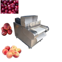 Automatische fruitprikmachine, fruitponsmachine, groentegatpons, fruitponsmachine