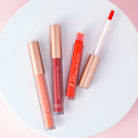 Tube de brillant à lèvres minéral chimique de haute qualité, logo personnalisé, rouge à lèvres liquide mat, écran solaire, imperméable, certifié ISO22716, longue tenue