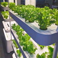Armoire de culture hydroponique intelligente professionnelle pour la culture de légumes frais