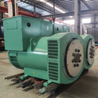 Générateur sans balais YTW triphasé 30 kW 37,5 kVA, prix promotionnel avec générateur PMG AVR.
