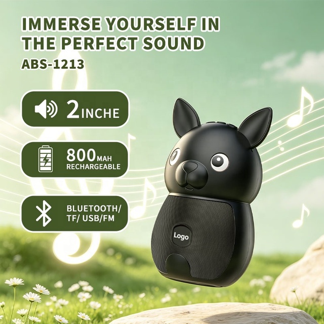 ABS-1213 New Style Portable Mini Wireless Speaker Outdoor Battery Charged Gift for Teen/ Children/Friend