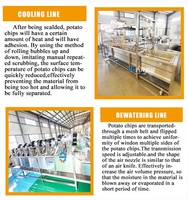 Ligne de production de frites de pommes de terre DY : solutions complètes pour une capacité de 100 à 500 kg/h