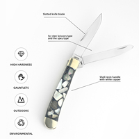 Couteau de poche pliant EDC à 2 lames pour l'extérieur, lames en acier 5Cr, couteau de survie pour le camping avec poignée en résine d'abalone et coupe-clous