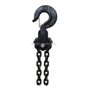 Polipasto de cadena eléctrico DHP de <span class=keywords><strong>Indonesia</strong></span> más vendido 1T 2T 3T 10T Operación estable y segura 380V 50HZ Cabrestante eléctrico - Product Image 5