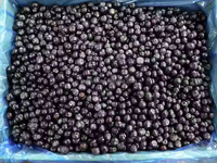 Buah Blueberry Beku IQF (Individually Quick Frozen) Panen Baru, Blueberry Beku untuk Selai, Ekspor Massal Dari Cina