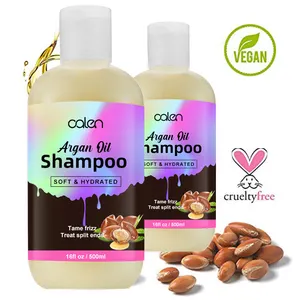 500ml che ripara lo sciampo dello sciampo di perdita di capelli degli ingredienti naturali dell'olio di Argan dell'etichetta privata per capelli oleosi