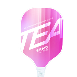Modello personalizzabile in fibra di vetro 2 pezzi racchetta da <span class=keywords><strong>Badminton</strong></span> Set comprende 4 palline e una custodia - Product Image 5