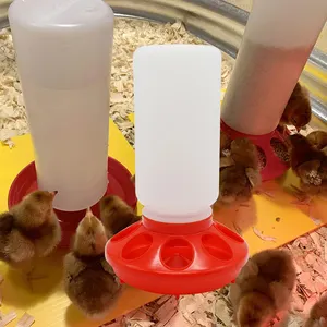 Mangeoires manuelles en plastique pour poulets et volailles Seau d'alimentation automatique pour bébés poussins caille et poulets