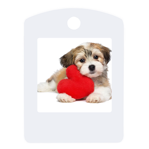 Electronic <strong>E</strong>-ink Screen Electronic <strong>Paper</strong> Portable Mini Smart Anti-lost Device Positioning Label Manufacturer <strong>Price</strong> Discount - Product Image 2