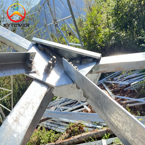 Torres de celosía de acero angular de telecomunicaciones de 100 pies con antena y microondas - Product Image 3
