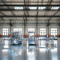 Ligne de production de machines de remplissage, de bouchage et d'étiquetage automatiques de bouteilles en plastique pour liquides de lavage Orshang, applications pour l'eau