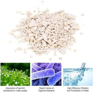 หินปะการังสำหรับจัดสวนในตู้ปลาและวัสดุกรองสำหรับตกแต่งตู้ปลา - Product Image 4