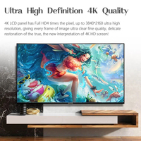 65 pouces 4K Smart TV WiFi sans cadre Android TV pour le visionnement public