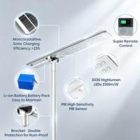 Lampadaire solaire tout-en-un OEM personnalisé en usine 60W 150W IP66 pour éclairage routier urbain