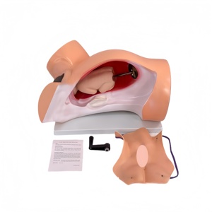Simulateur d'accouchement mécanique avec accouchement en rotation-Modèle de formation obstétrique avancée pour l'éducation des sages-femmes - Product Image 5