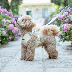 OEM مخصص مجموعة تسخير الحيوانات الأليفة سترة المقود التكتيكية تنفس للقطط الجراء الجلود بسيطة شخصية جرو الكلب تسخير - Product Image 4