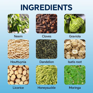 Té Herbal para el Apoyo Inmunológico OEM, Mezcla de Neem, Clavo, Graviola y Houttuynia, Refuerzo Inmunológico Natural, Caja de 20 Bolsitas de Té - Product Image 6