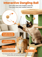 Arbre à chat Cactus Vert pour petit appartement, avec perchoir pour observation des oiseaux à la fenêtre, niche privée, hamac et rampe en sisal, pour chats d'intérieur