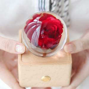 Día de San Valentín Regalos de Navidad para mujeres Idea de regalo Regalo del Día de la madre Flor real Luz nocturna Entrega rápida Lámpara de decoración - Product Image 2