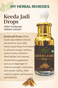 Keeda Jadi Drops, formule d'extrait de plantes médicinales premium pour l'énergie quotidienne, la résistance, un style de vie actif et un soutien naturel de la vitalité, 30 ml - Product Image 4