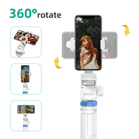 Fourniture d'usine Portable extérieur sans fil étanche Selfie bâtons téléphone trépied support téléphone support lumière support pour Live Tiktok