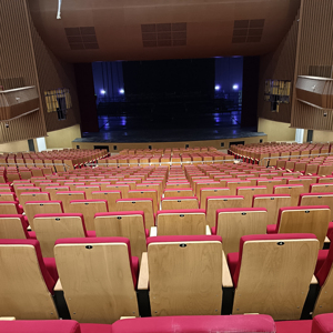 Silla de Auditorio Moderna de Tela para Teatro, Hotel, Hospital - Reposabrazos Ajustables, Patas de Acero, Muebles Comerciales al por Mayor - Product Image 5