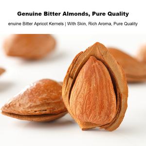 Almendras de Alta Calidad <span class=keywords><strong>con</strong></span> <span class=keywords><strong>Piel</strong></span>, Alto Valor Nutricional, Snack Saludable, Frutos Secos Disponibles para Exportación a Granel, Procesamiento en Crudo - Product Image 3
