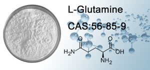 Bulk Supply Nahrungs ergänzungs mittel L-Glutamin OEM-Paket Glutamin pulver - Product Image 3