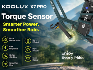 Vélo cargo électrique KOOLUX avec moyeu arrière en acier, pneu large de 20 pouces, assistance au pédalage, moteur brushless 250W, stock UE, livraison multilingue pour entreprises - Product Image 5