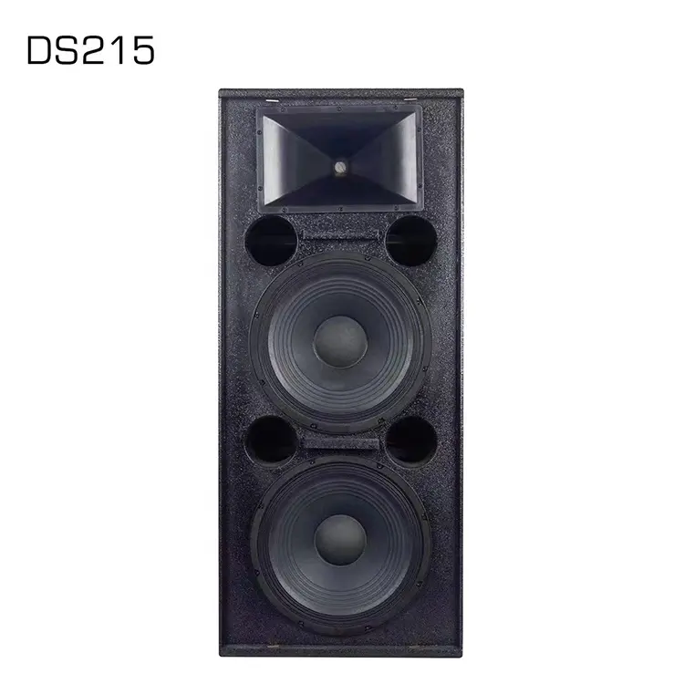 DS215 Subwoofer Speaker 15 Floor Standing Speakers Home Audio System Amplifier