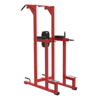 Équipement de gymnastique de forme physique chaise romaine commerciale croix fit banc de levage de jambon de fessier