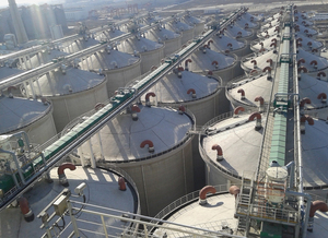 Trasportatori pneumatici industriali ad alta capacità per il trasporto di mais, grano, carbone e altri materiali. - Product Image 3