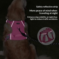 Harnais et laisse pour chien en nylon robuste, design léger et respirant, avec des caractéristiques réglables et confortables