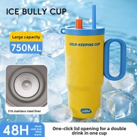 Bouteille isotherme sous vide en acier inoxydable 316, revêtement céramique, design élégant, isolation thermique 6-12 heures, anti-chute, pour thé