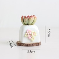 Pot de fleurs en céramique blanche minimaliste coréen MSH, fait main, à fleurs pincées, pour plantes à tige ancienne et succulentes PP