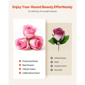 Flores Eternas 2025, Caja de 50 <span class=keywords><strong>Rosas</strong></span> Preservadas, Ramo Dulce Inmortal para Cumpleaños, San Valentín, Navidad, el Mejor Regalo - Product Image 1