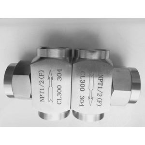 Trampa de Vapor Tipo Flotador NPT1/2 F Cl300 de Acero Inoxidable 304, Bidireccional, Hidrófoba, para Agua a Media Presión - Product Image 1